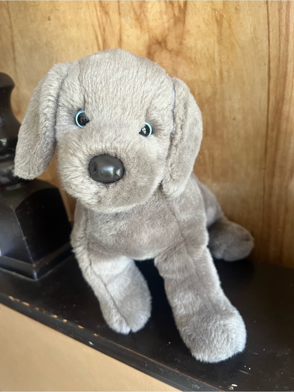 Douglas Dog Hans